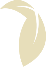 Logo Doutora