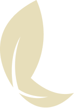 Logo Doutora